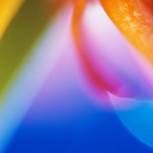 Meet your Posher, Poor